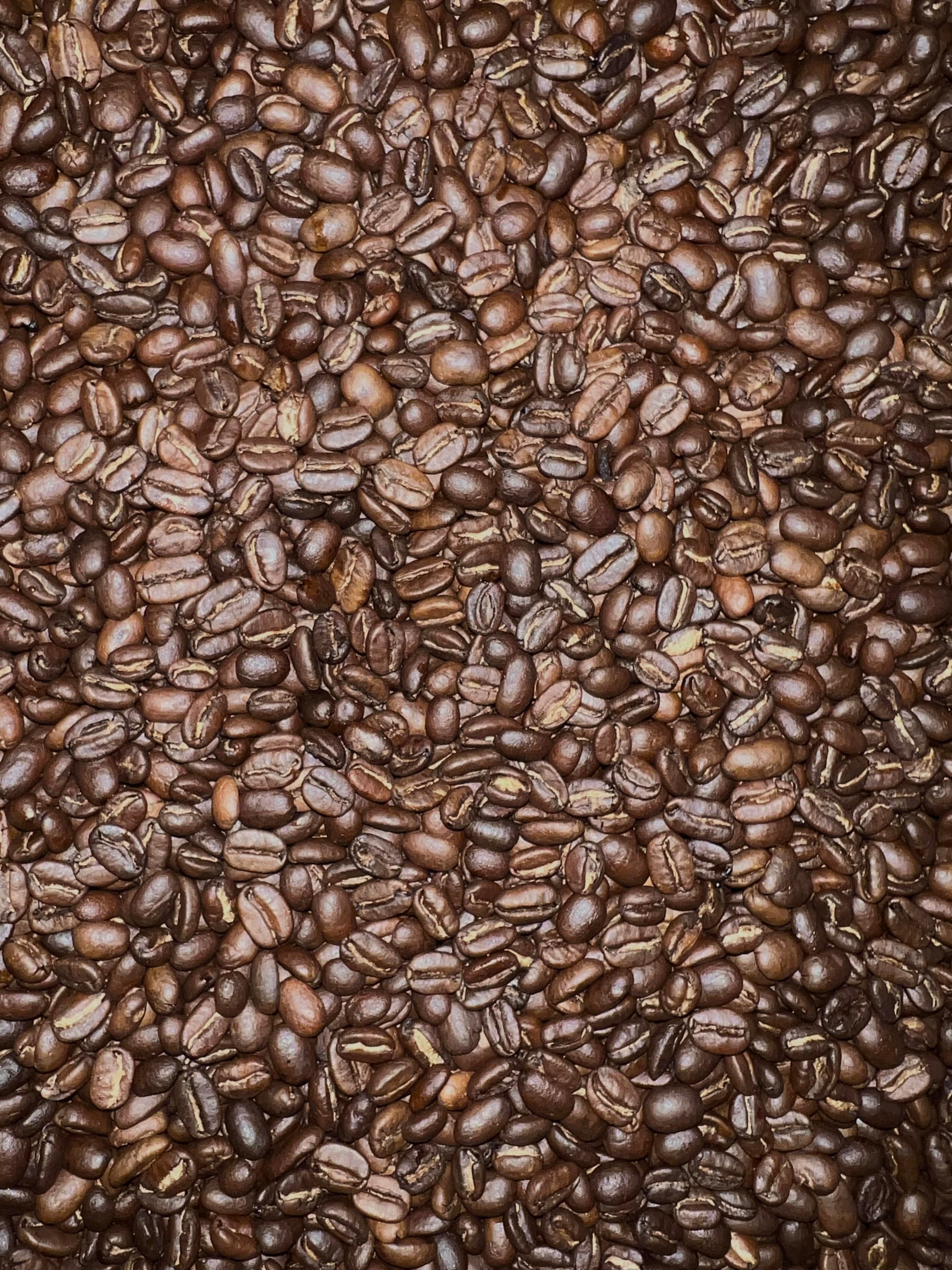Organic Jackson Hole Blend | Great Northern Coffee Company